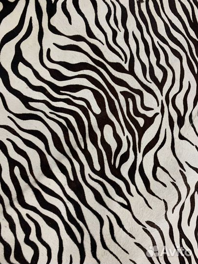 Шкура зебры