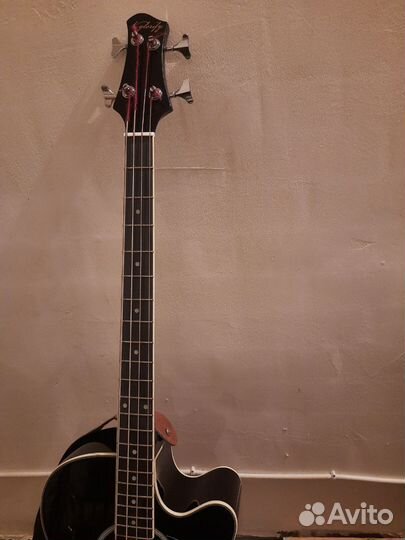 Бас гитара акустическая