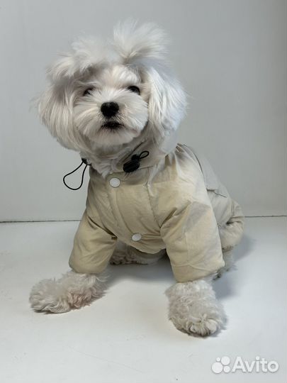 Комбинезон для собак