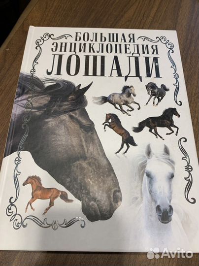 Лошади книга, энциклопедия