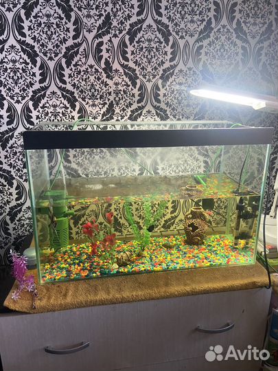 Аквариум 100л