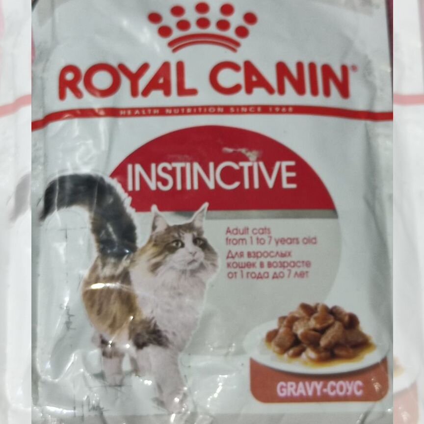 Влажный корм для кошек royal canin