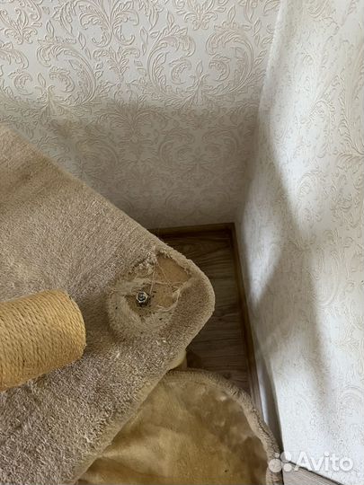 Домик когтеточка