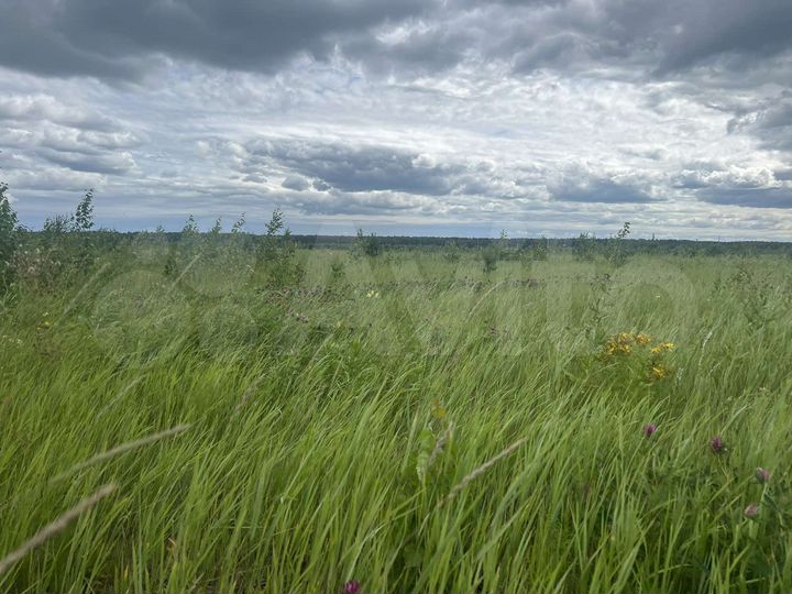 Участок 8,3 сот. (ИЖС)