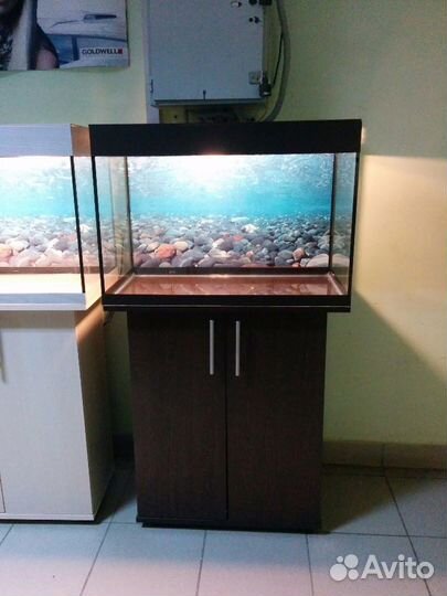 Аквариум 100 новый,биофильтр, фон, свет, тумба