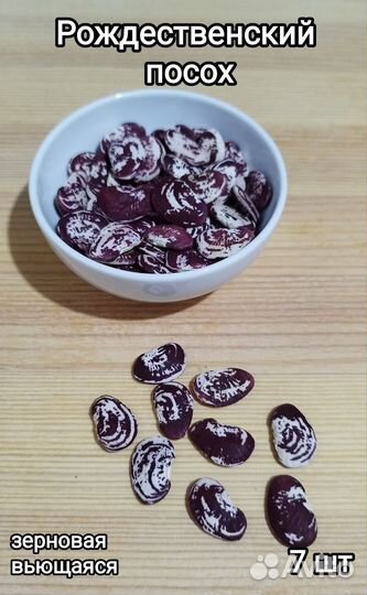 Фасоль коллекционная