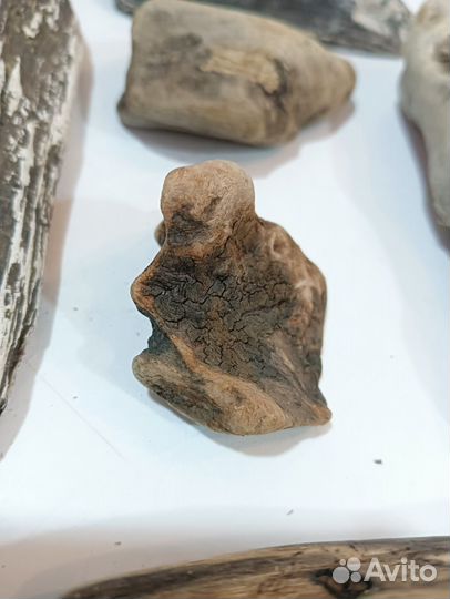 Коряги дрифтвуд