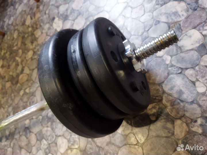 Штанга с блинами