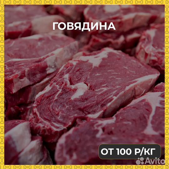 Мясо и субпродукты для животных в Тосно