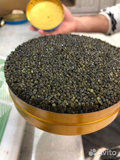 Икра черная зернистая