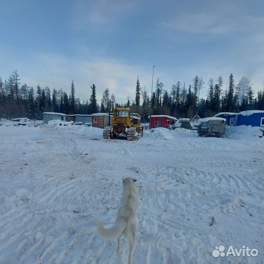 Сдам в аренду жилые вагоны в жилом вагон-городке