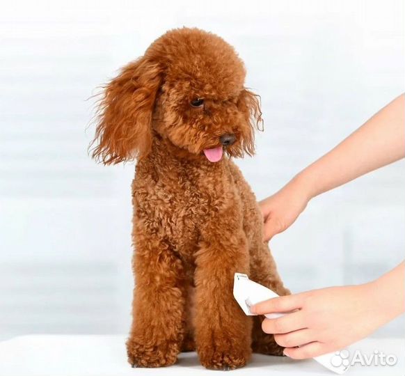 Машинка для стрижки животных Xiaomi Pawbby Pet