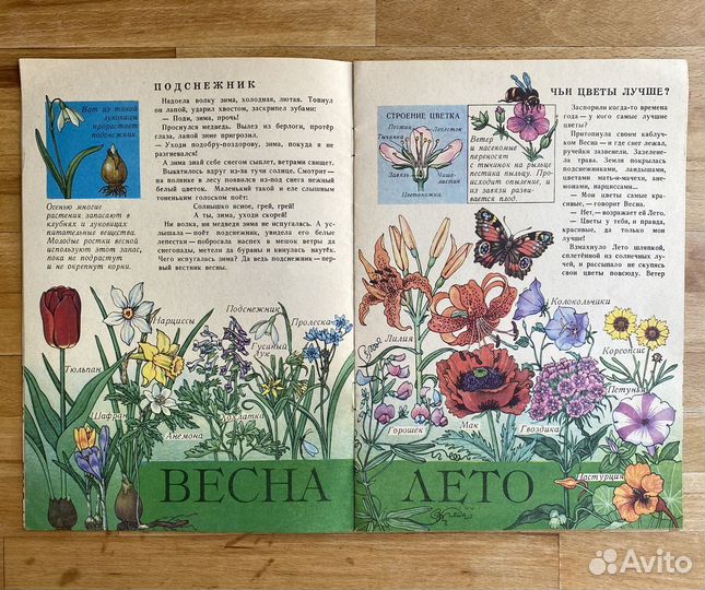 Винтажные ботанические иллюстрации в детской книге