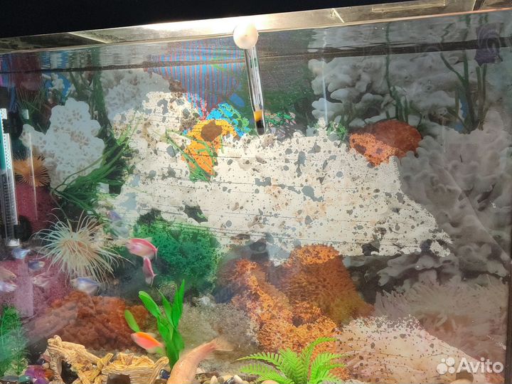 Аквариум с рыбками бу