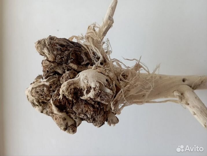 Коряги дрифтвуд для декора и макраме 47*17*1,5 см