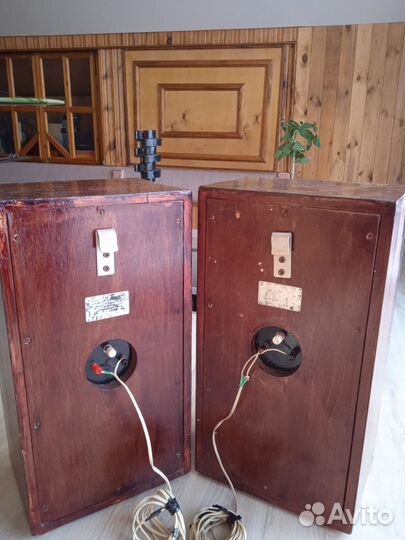 Акустические системы электроника б1-01