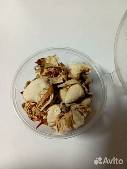 Сухоцветы для творчества