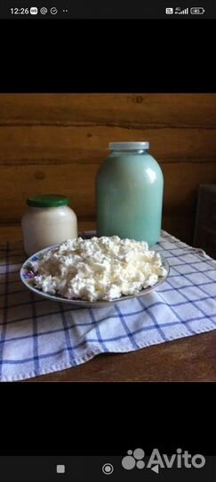 Молоко и молочные продукты