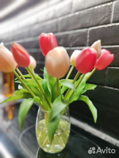 Тюльпаны real touch