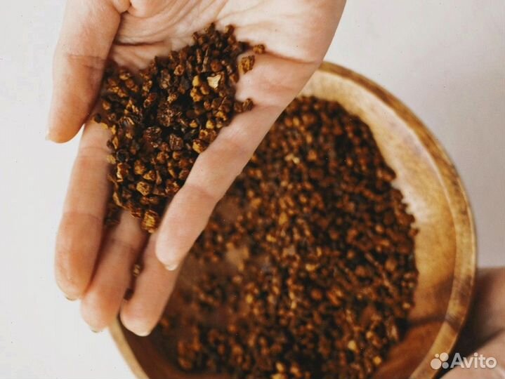 Чага сушеная опт. Любые объемы и виды