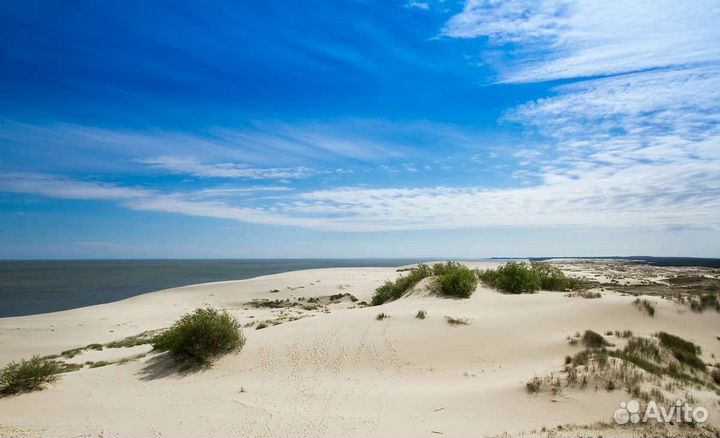 Экскурсия на Куршскую косу (экосбор включён)