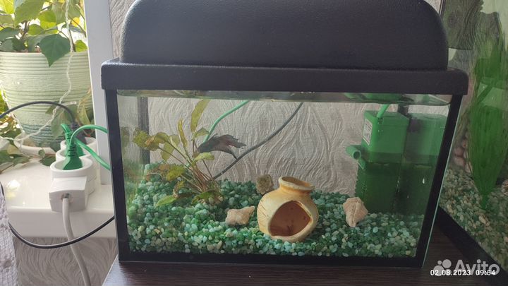 Продам аквариум с рыбкой петушок и фильтром