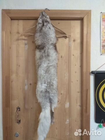 Шкура песца