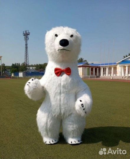 Белый мишка поздравление аниматор Чебурашка