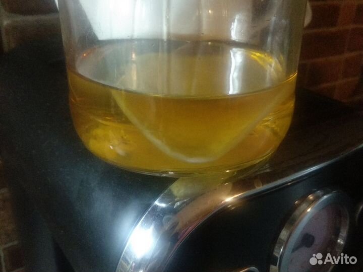 Чайный гриб