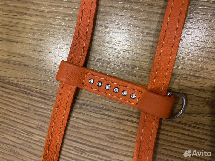 Шлейка для собаки