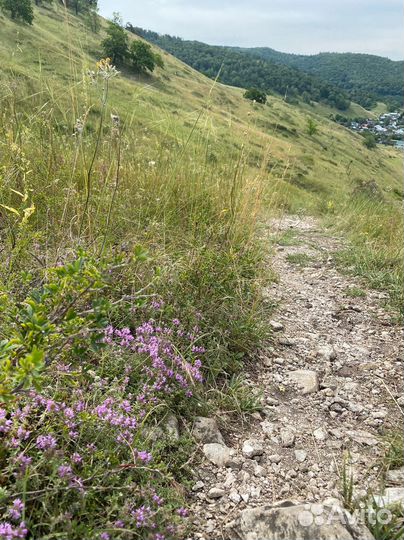 Экскурсия по с. Ширяево