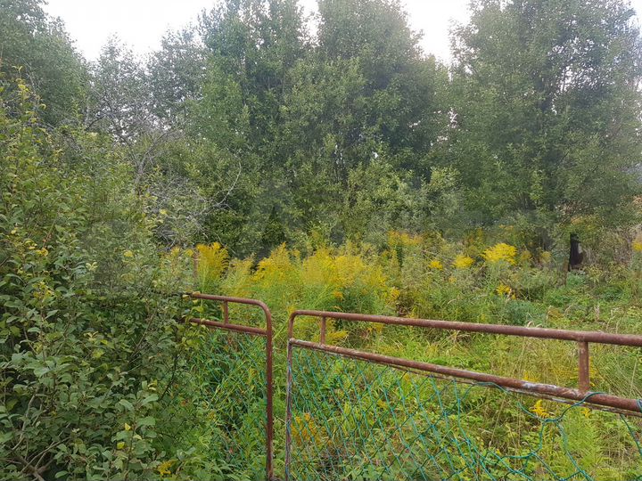 Участок 6 сот. (СНТ, ДНП)