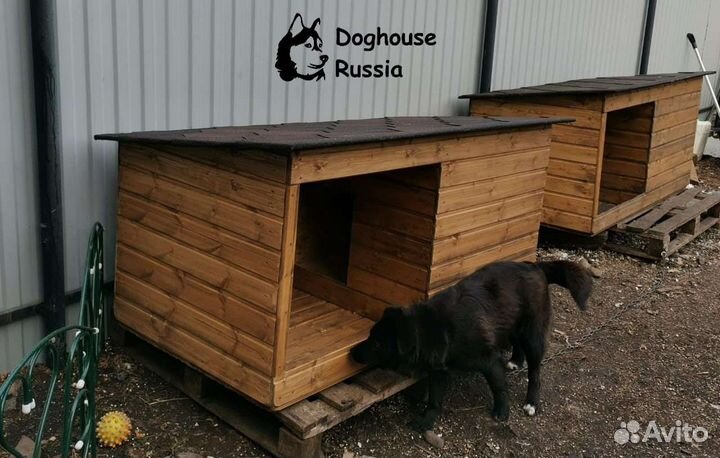 Будка, конура для собаки