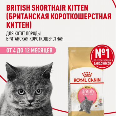 Сухой корм для кошек royal canin