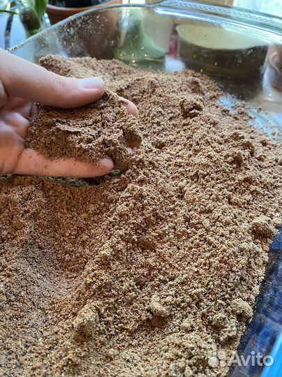 Корм для рыб