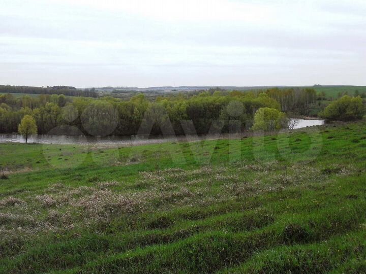 Участок 50 сот. (ИЖС)