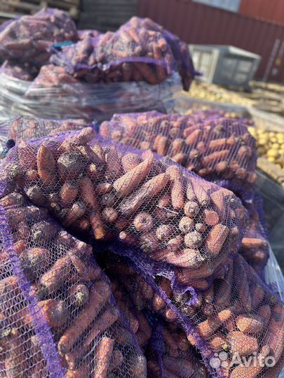 Продам картофель морковь