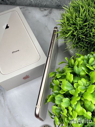 iPhone 8 Plus, 64 ГБ