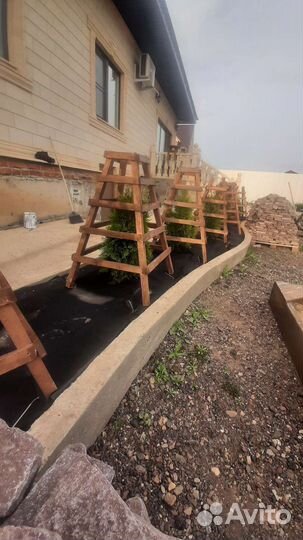 Каркас для туйи туи