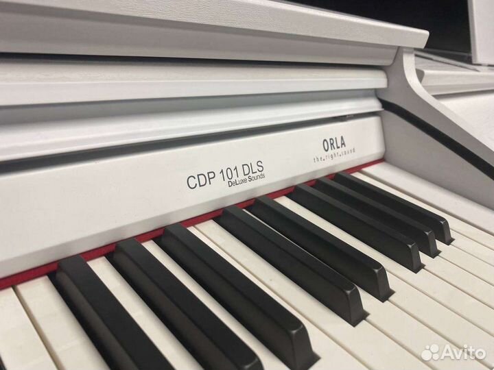 Orla CDP101 Цифровое пианино корпусное (Новое)
