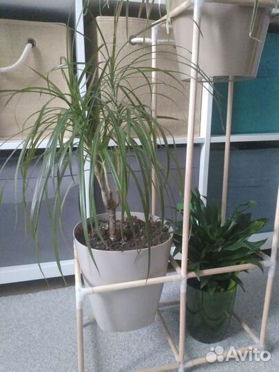 Подставка для цветов