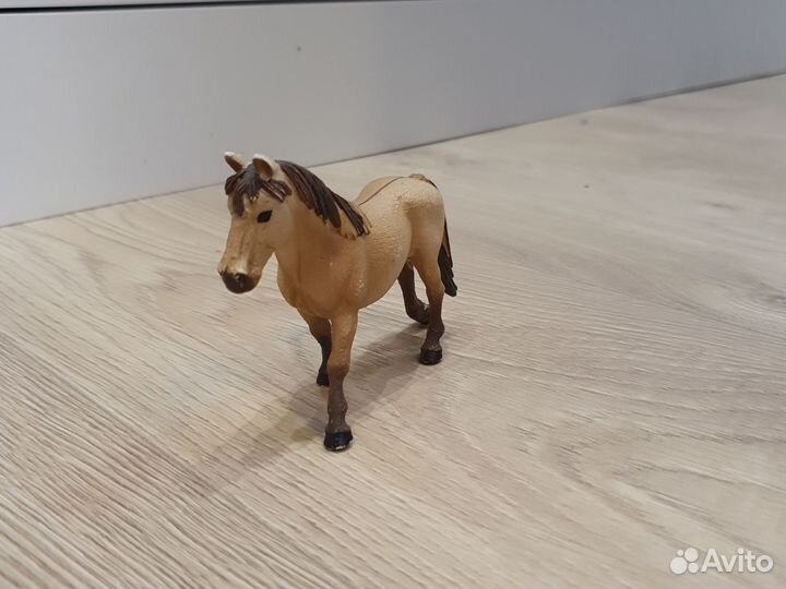 Лошади шляйх