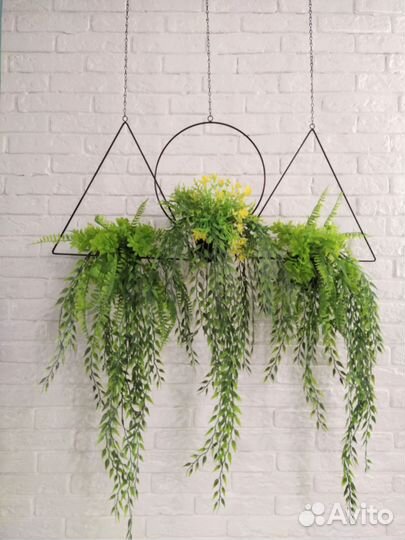 Вьюн, искуственое озеленение