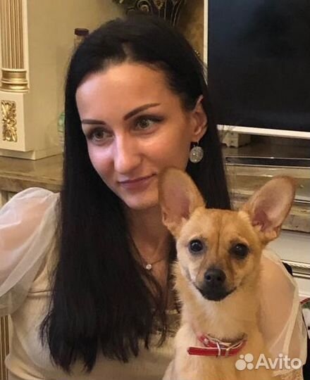 Ведический астролог