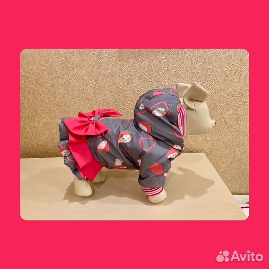 Пошив одежды для собак. Одежда для собак