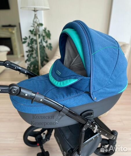 Коляска Wiejar Modo 3/1