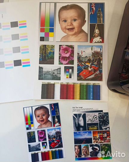 Мфу Epson XP 342 с WiFi и снпч