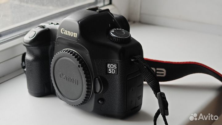 Canon 5D + Canon 50mm 1.8