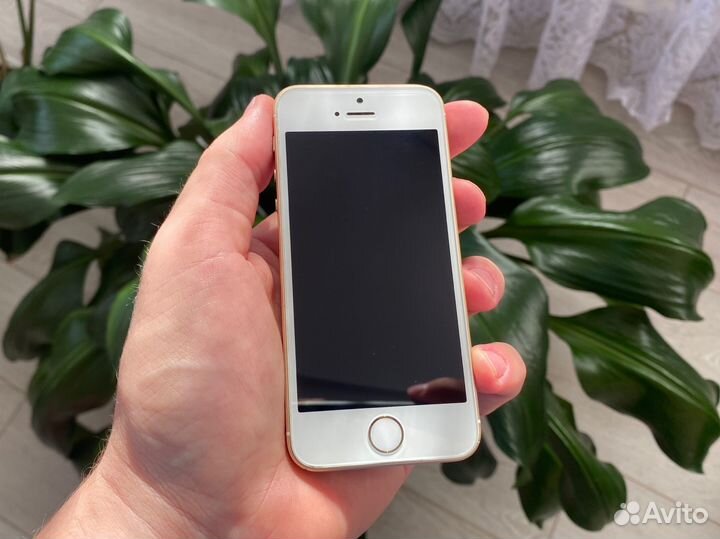 iPhone SE, 32 ГБ