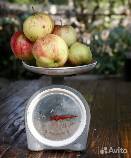 Весы бытовые СССР 8 марта 5 кг